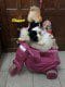 SAM_5704